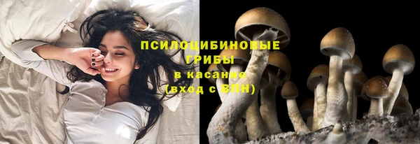 ECSTASY Зарайск