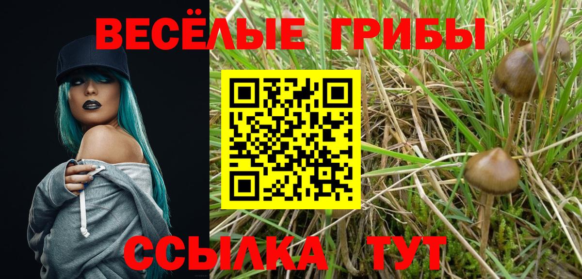 даркнет сайт  Вход с VPN  Коряжма  Галлюциногенные грибы Cubensis 