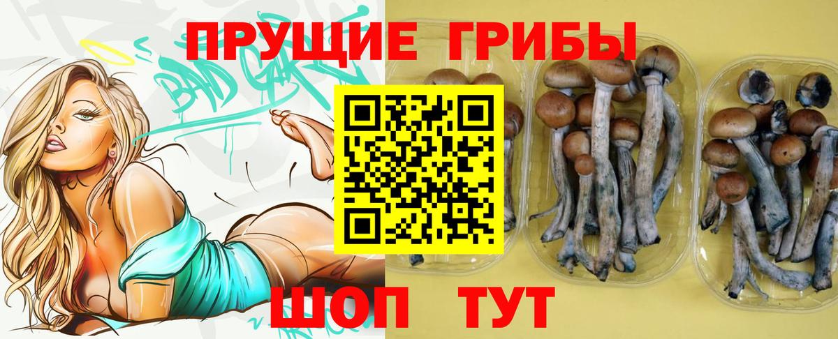 Псилоцибиновые грибы Magic Shrooms Коряжма